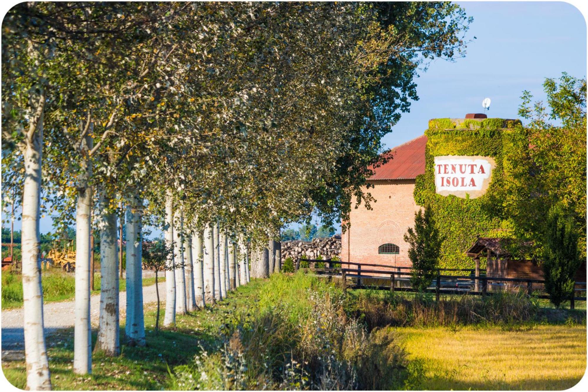 Tenuta Isola Villa Langosco Exterior foto